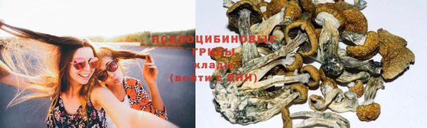 прущая мука Богородицк