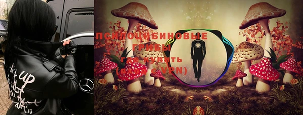 гашик Богородск