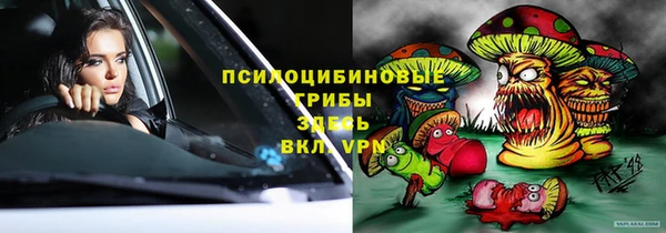 таблы Богданович
