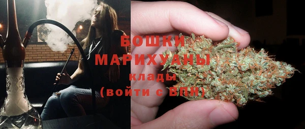 гашик Богородск