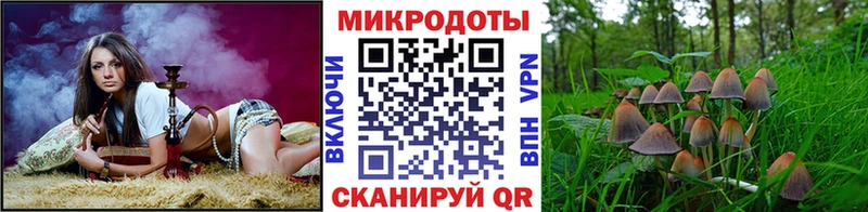 Псилоцибиновые грибы Psilocybine cubensis  KRAKEN зеркало  Нариманов  продажа наркотиков 